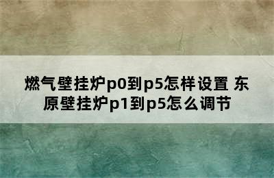 燃气壁挂炉p0到p5怎样设置 东原壁挂炉p1到p5怎么调节